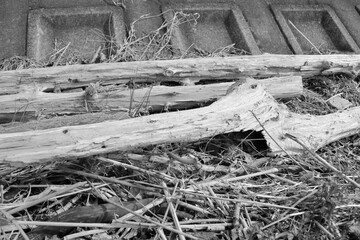 モノクロ流木、質感