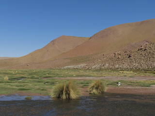 Creek in the desert under the mountains