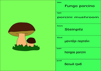 esempio di tovaglietta bavaglino placemate scheda studio simpatico con traduzioni multiple del soggetto porcino fungo porcino