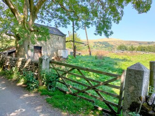 old farm fence