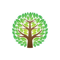 Obraz premium Tree Logo design vector illustration. Abstract Tree Logo vector in creative design concept for nature, agriculture and farm business. Tree Logo, icon, sign and symbol vector design illustration.