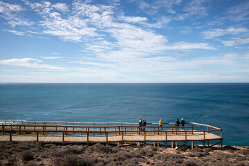 Group of people watching whales migration from an observation platform at the shore. Group of...