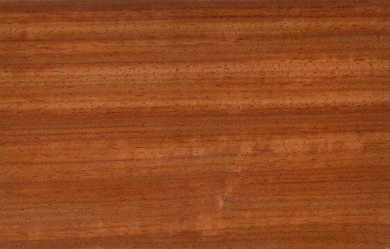 Padouk veneer, exotic natural wood from Africa.