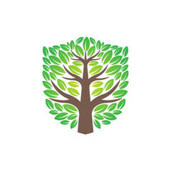 Fototapeta premium Tree Logo design vector illustration. Abstract Tree Logo vector in creative design concept for nature, agriculture and farm business. Tree Logo, icon, sign and symbol vector design illustration.