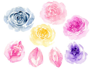 IllustrationWatercolor  Blooming English Roses elements for invitation card, backdrop, scrapbook, backdrop
