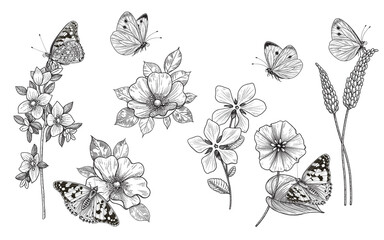 Hand Drawn Monochrome Wildflowers  and Butterflies Set - 368743836