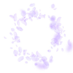 Violet flower petals falling down. Fancy romantic 