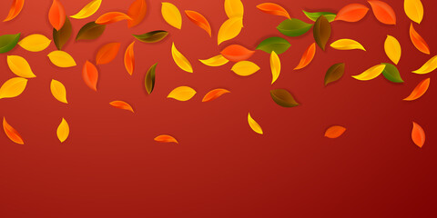 Falling autumn leaves. Red, yellow, green, brown n