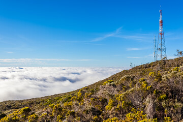 Piton Textor, route du volcan, île de la Réunion 