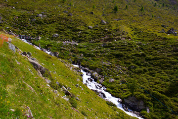Gebirgsbach im Langtauferertal in Südtirol