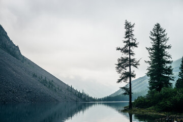 Atmospheric gloomy landscape with conifer trees on shore of mountain lake in rainy weather. Coniferous trees on mountainside in low clouds. Bleak misty scenery with alpine lake under gray cloudy sky.