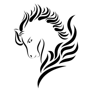 Wild horse head, abstract pattern, Vector image.
