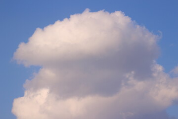 Obraz premium 入道雲