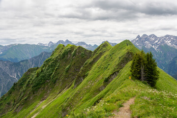 Path leading to Schlappoldkopf, Germany