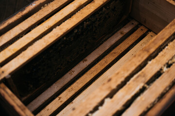 Frame with honeycomb. The honey in the frame is prepared for downloading and filling. Wooden frames of honey are installed in the hive. Bee house, beekeeping.