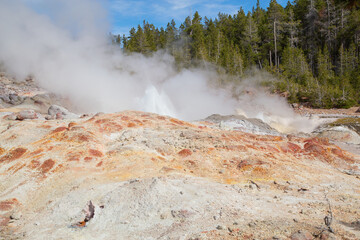 Norris geyser basin