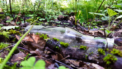 Close-up of an old clouded glass bottle against the backdrop of a living forest vegetation: green moss, foliage, plants ...