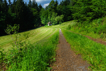 Wanderung zum Gallner Gipfel bei Stallwang im Bayerischen Wald