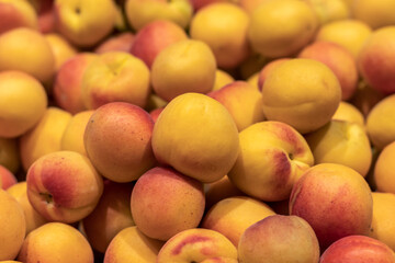 Large ripe apricots. Close up.
