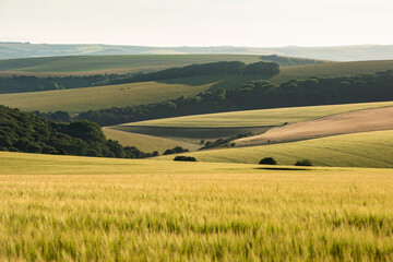 Stunning late Summer afternoon light over rolling hills in English countryside landscape with vibrant warm light