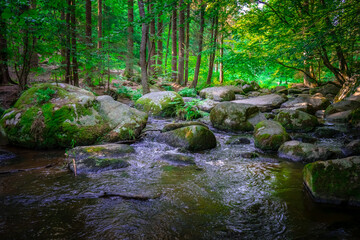 Fototapeta na wymiar Wanderung durch das Höllbachtal in der nähe von Rettenbach im bayerischen Wald