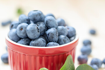 Fresh organic blueberries in red bowl on natural wooden background. Close up.
