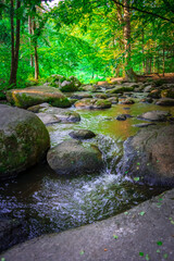 Wanderung durch das Höllbachtal in der nähe von Rettenbach im bayerischen Wald