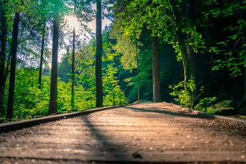 Wanderung durch das Höllbachtal in der nähe von Rettenbach im bayerischen Wald