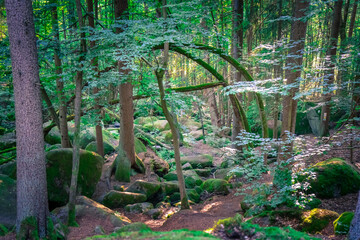 Wanderung durch das Höllbachtal in der nähe von Rettenbach im bayerischen Wald