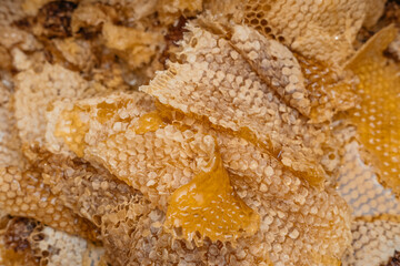 The texture of the honeycomb. Thin layers of honey lie in a pile. A lot of beeswax and honey on it, the remains after removing the honey from the frames of the hive. Beekeeping.