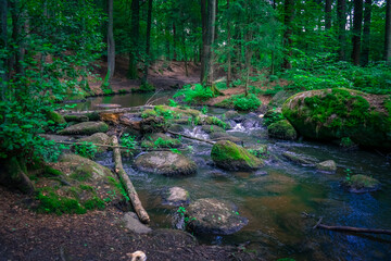 Wanderung durch das Höllbachtal in der nähe von Rettenbach im bayerischen Wald