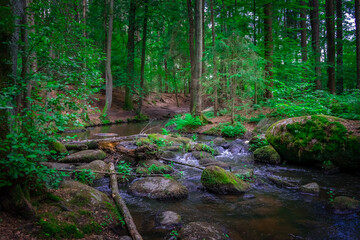 Wanderung durch das Höllbachtal in der nähe von Rettenbach im bayerischen Wald