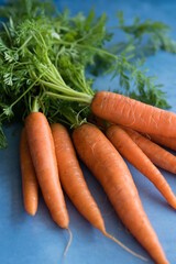 A bunch of fresh carrots on a blue backgroun.
