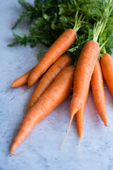 A bunch of fresh  organic carrots on gray background.