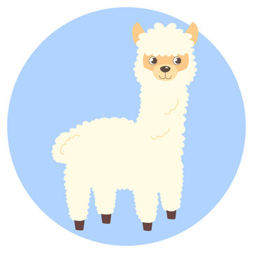 cute alpaca on blue background for a postcard, sticker, posters