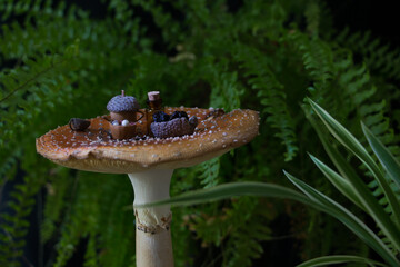 Fly agaric (Amanita muscaria) tea time table in vegetation