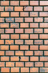 Obraz premium pattern of old brick