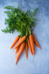 A bunch of fresh  organic carrots on gray background.
