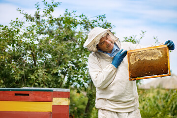 Beekeeper at apiary