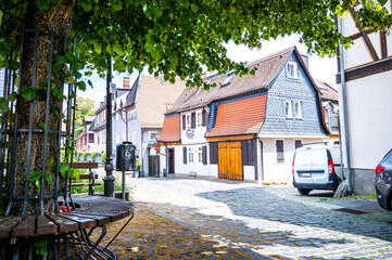 place with lime tree in kronberg im taunus