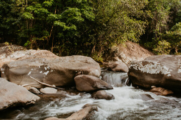 Water streaming down a mountain river in the forest