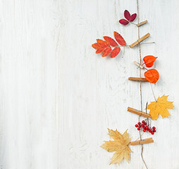 autumn garland with leaves and berries on wooden white background. fall season, thanksgiving...