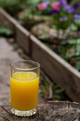 Orange juice on a stump in the backyard