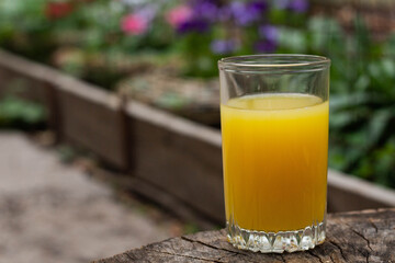 Orange juice on a stump in the backyard
