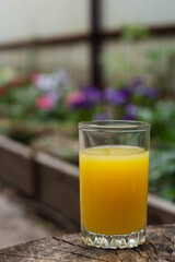 Orange juice on a stump in the backyard