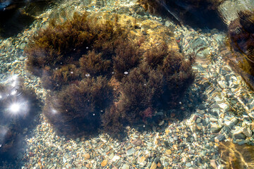 The texture of the bottom. Under the clear water, you can see algae on a large stone, many small stones. Sea ripples, the sun's rays on the rocks.