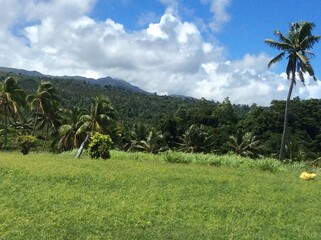 Jungle around the hill with the Catholic cross in the interior of the island of Taveuni