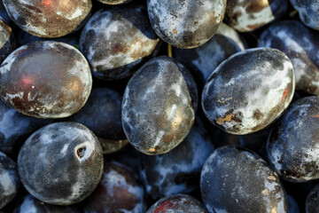 ripe plum fruit background