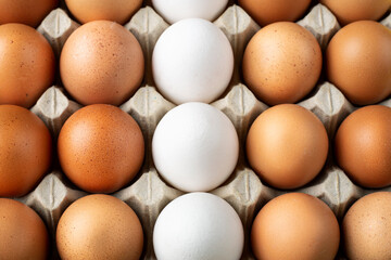 chicken eggs in a tray as a background