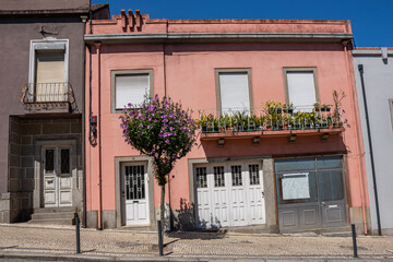 Portugal Apartment Architecture in Braga, Pink, With Plants